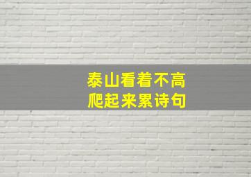 泰山看着不高 爬起来累诗句